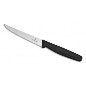 Barknife Victorinox 21-10 cm
