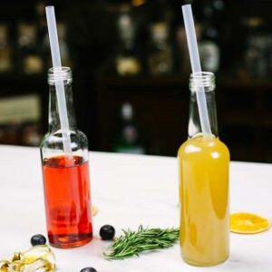 Roer- en Rietjeset 200x6 mm (10 stuks)